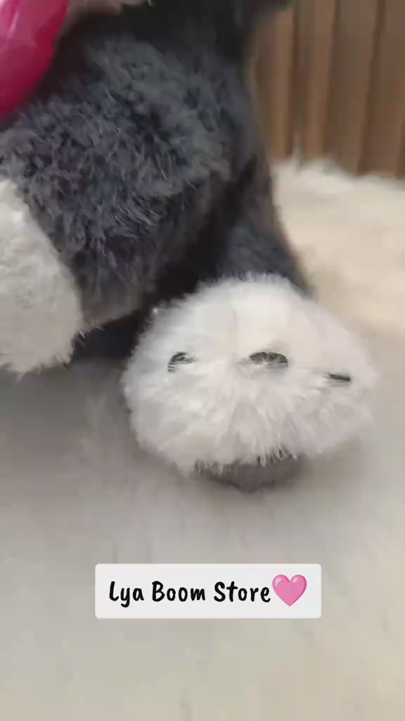 HERMOSO GATITO LUCIFER COQUETTE 🎀😍